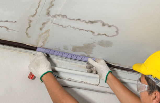 Reliable Burst Pipe Cleanup contractor in Columbia, IA by Water Damage Irwin